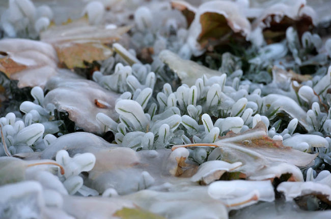 взрыв водопровода в Пекине, взрыв водопровода Пекин лед, Ледяная крепость Пекин прорвало водопровод