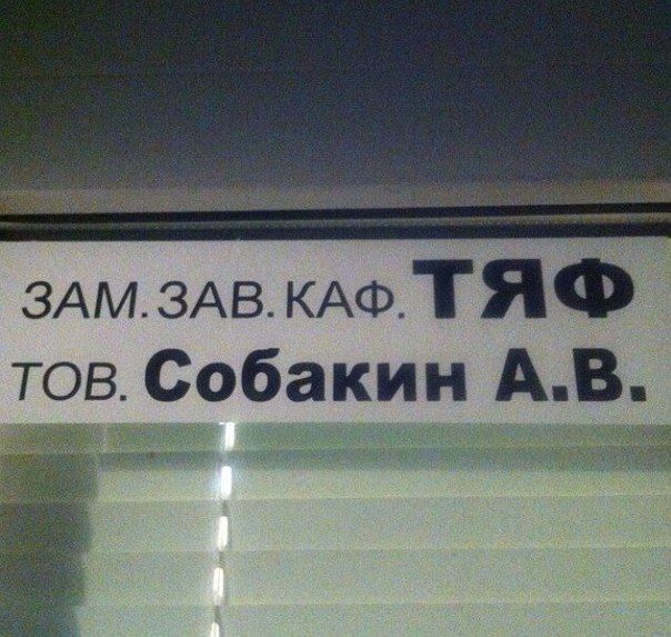 смешные надписи, объявления, маразмы