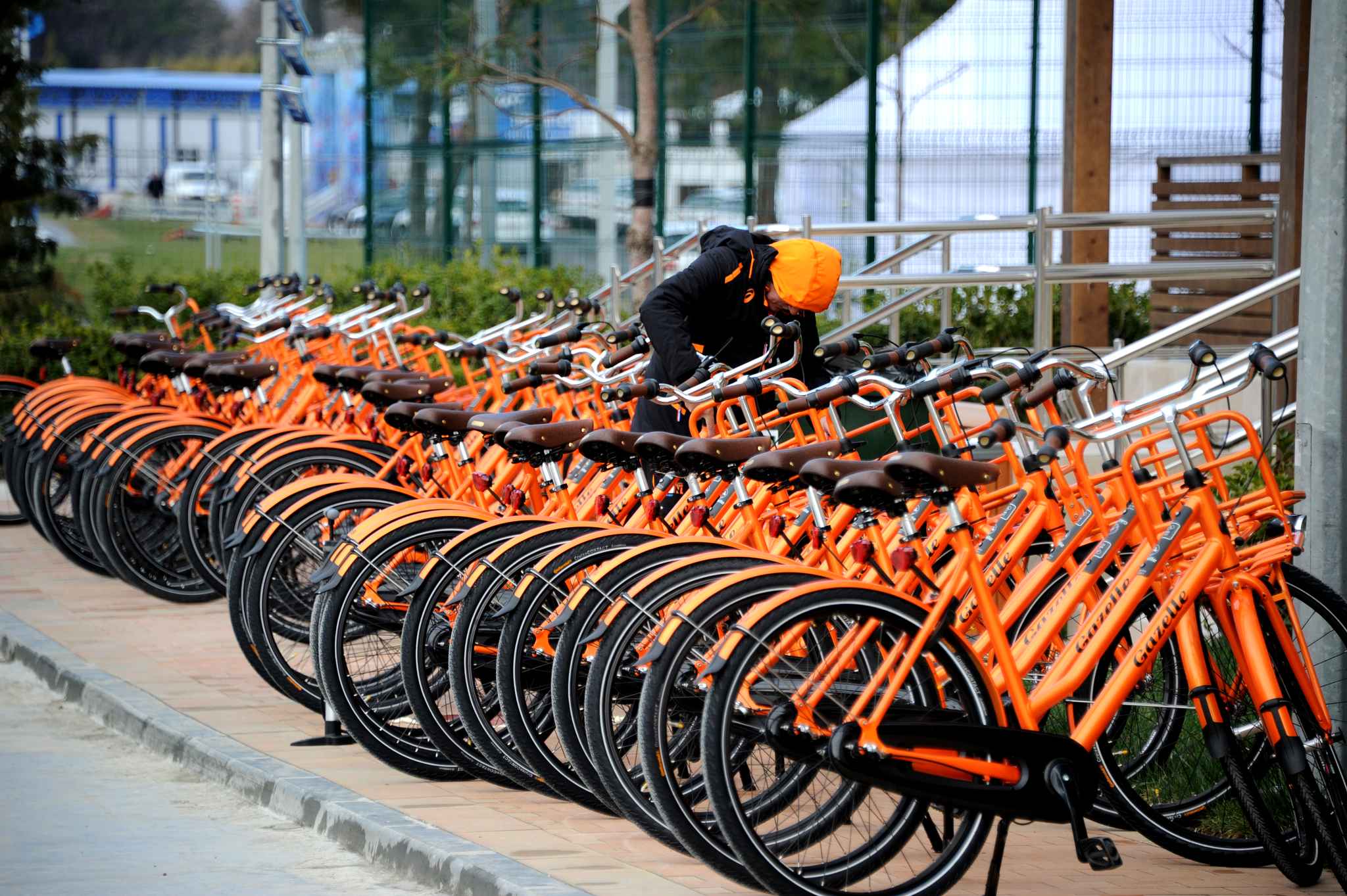 Подготовка к зимней Олимпиаде Сочи 2014 Подготовка, к зимняя Олимпиада, олимпийские игры, Сочи, 2014, Адлер, Фишт, Роза Хутор, Лаура