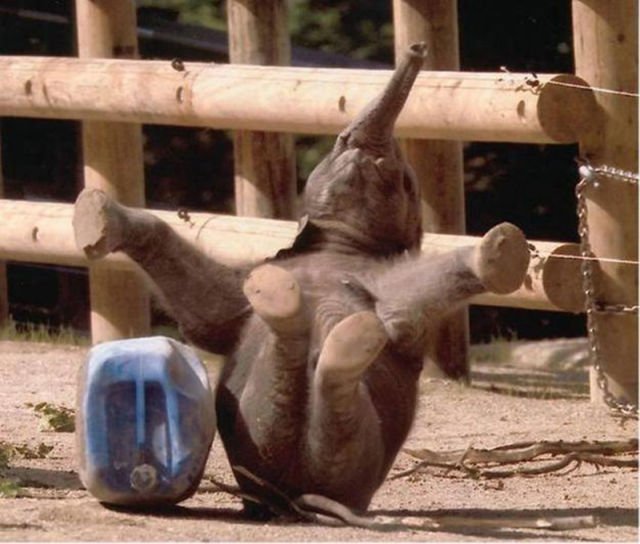 в нужный момент, пойманный кадр