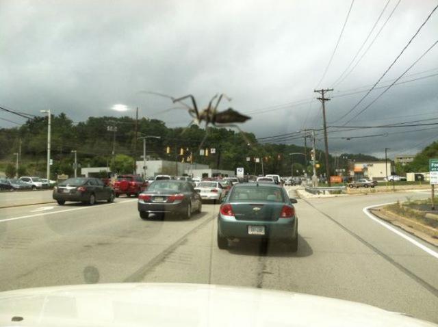 в нужный момент, пойманный кадр