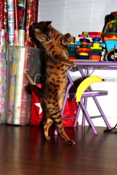 в нужный момент, пойманный кадр