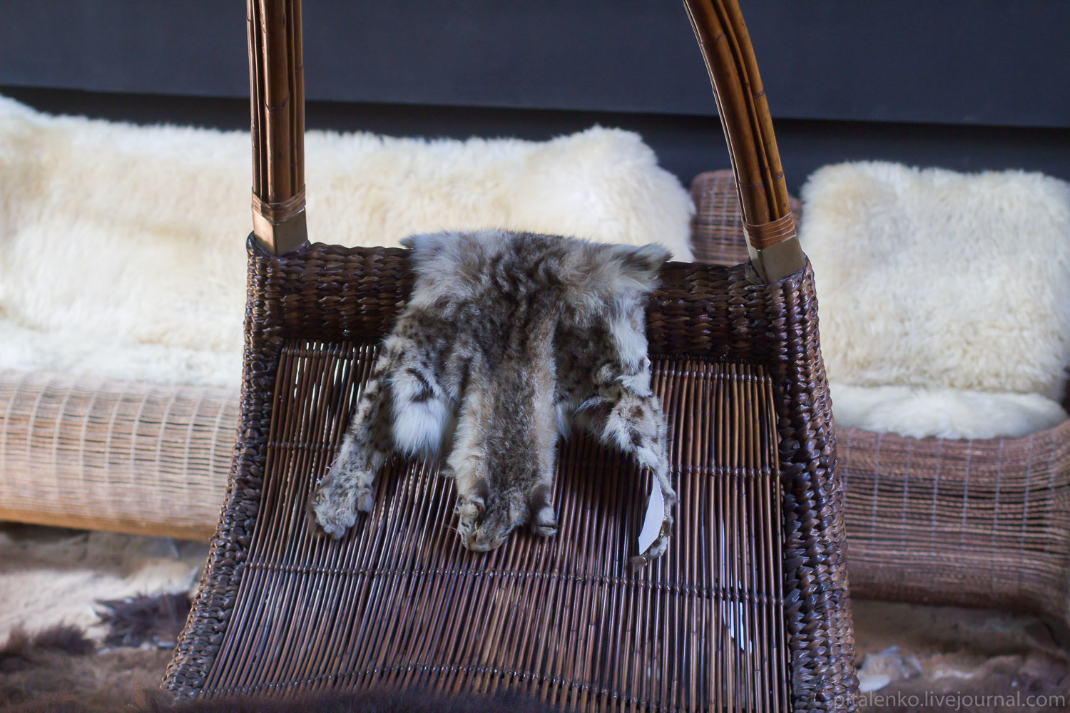 Чёрный дом на севере Таиланда, Baan Si Dum, Чианграй, Thawan Duchanee