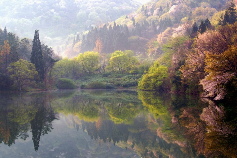 20 причин, почему мы так любим и ждем весну