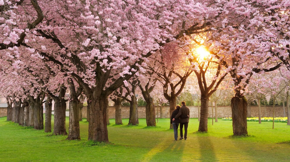 20 причин, почему мы так любим и ждем весну