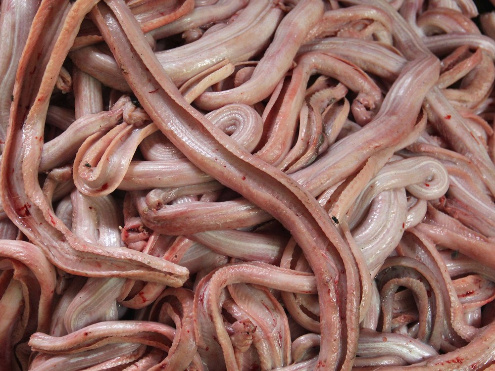 Змеиная бойня, Как получают змеиную кожу, змеиная кожа изготовление, змеиная кожа производство