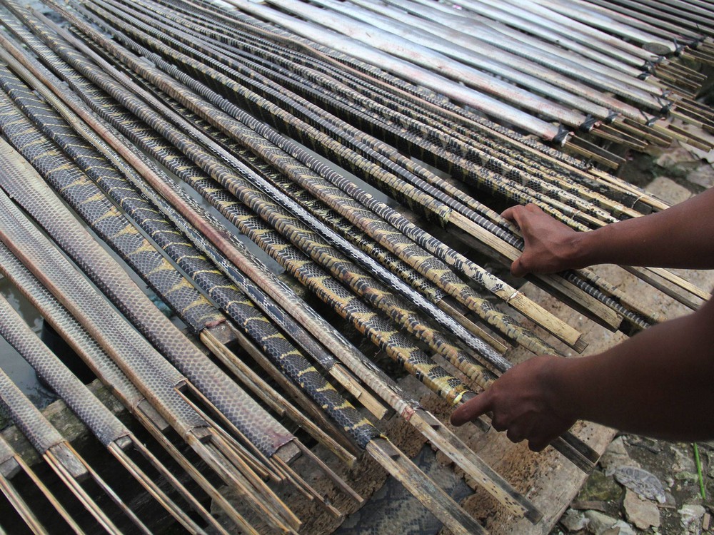 Змеиная бойня, Как получают змеиную кожу, змеиная кожа изготовление, змеиная кожа производство