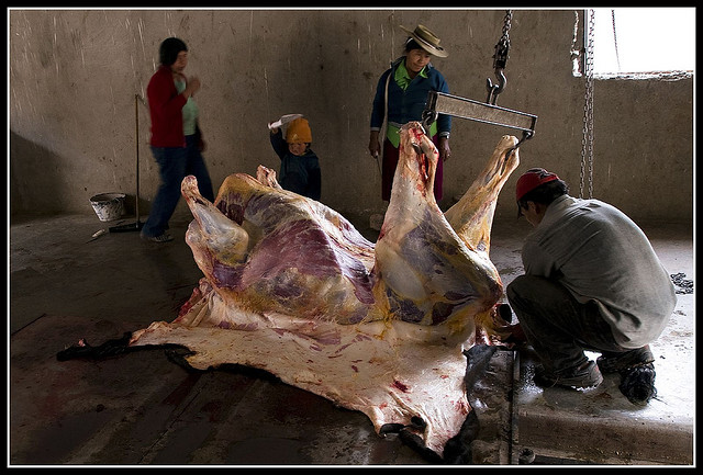 Самые странные, опасные диеты, странные диеты, диеты в истории