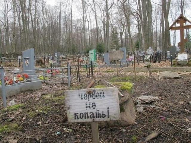 смешные надписи и объявления, маразмы