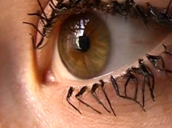 Джессика Харрисони жуткие ресницы, ресницы из лапок мух, Jessica Harrison