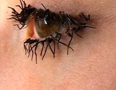 Джессика Харрисони жуткие ресницы, ресницы из лапок мух, Jessica Harrison