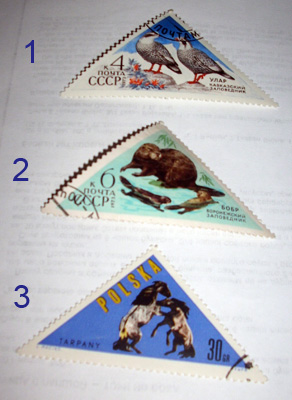 Что собирали и коллекционировали дети в СССР Что коллекционировали дети в СССР, СССР коллекционирование