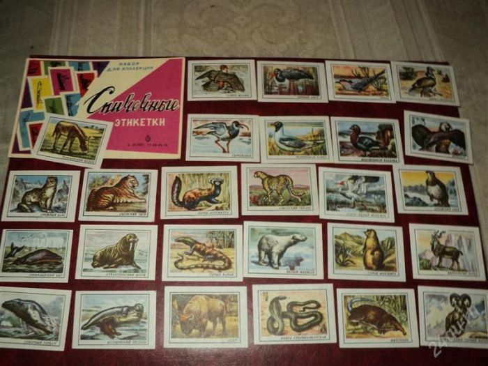 Что собирали и коллекционировали дети в СССР Что коллекционировали дети в СССР, СССР коллекционирование