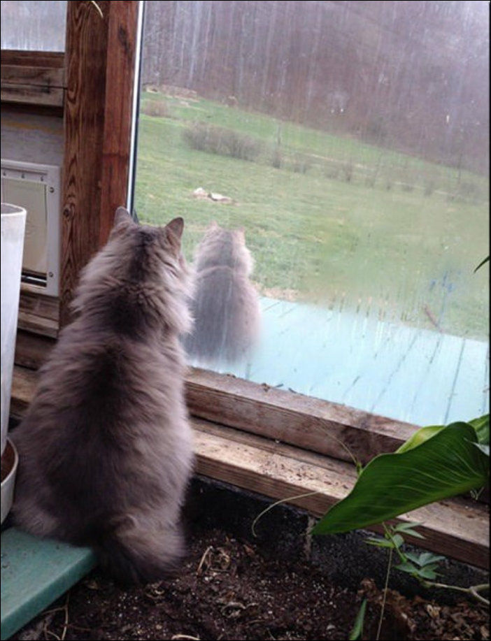 Повсюду клоны! Люди, случайно встретившие своих повсюду клоны, люди в одинаковой одежде, встретили двойников, одинаковое одетые