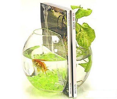 Необычные аквариумы