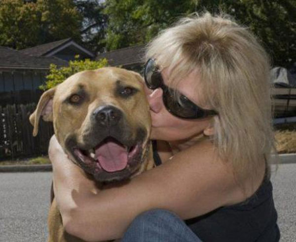 20 любопытных и малоизвестных фактов о собаках факты о собаках. интересные факты о собаках, интересные истории о собаках