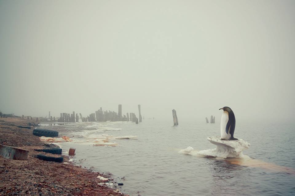 Потрясающие фотографии без участия фотошопа Фотографии без фотошопа, необработанные фотогарфии