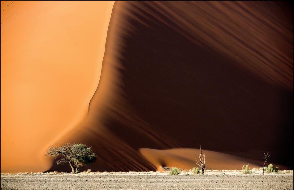Потрясающие фотографии без участия фотошопа Фотографии без фотошопа, необработанные фотогарфии