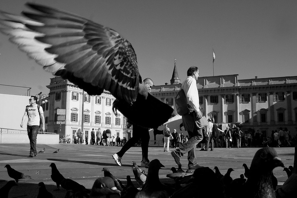 Потрясающие фотографии без участия фотошопа Фотографии без фотошопа, необработанные фотогарфии