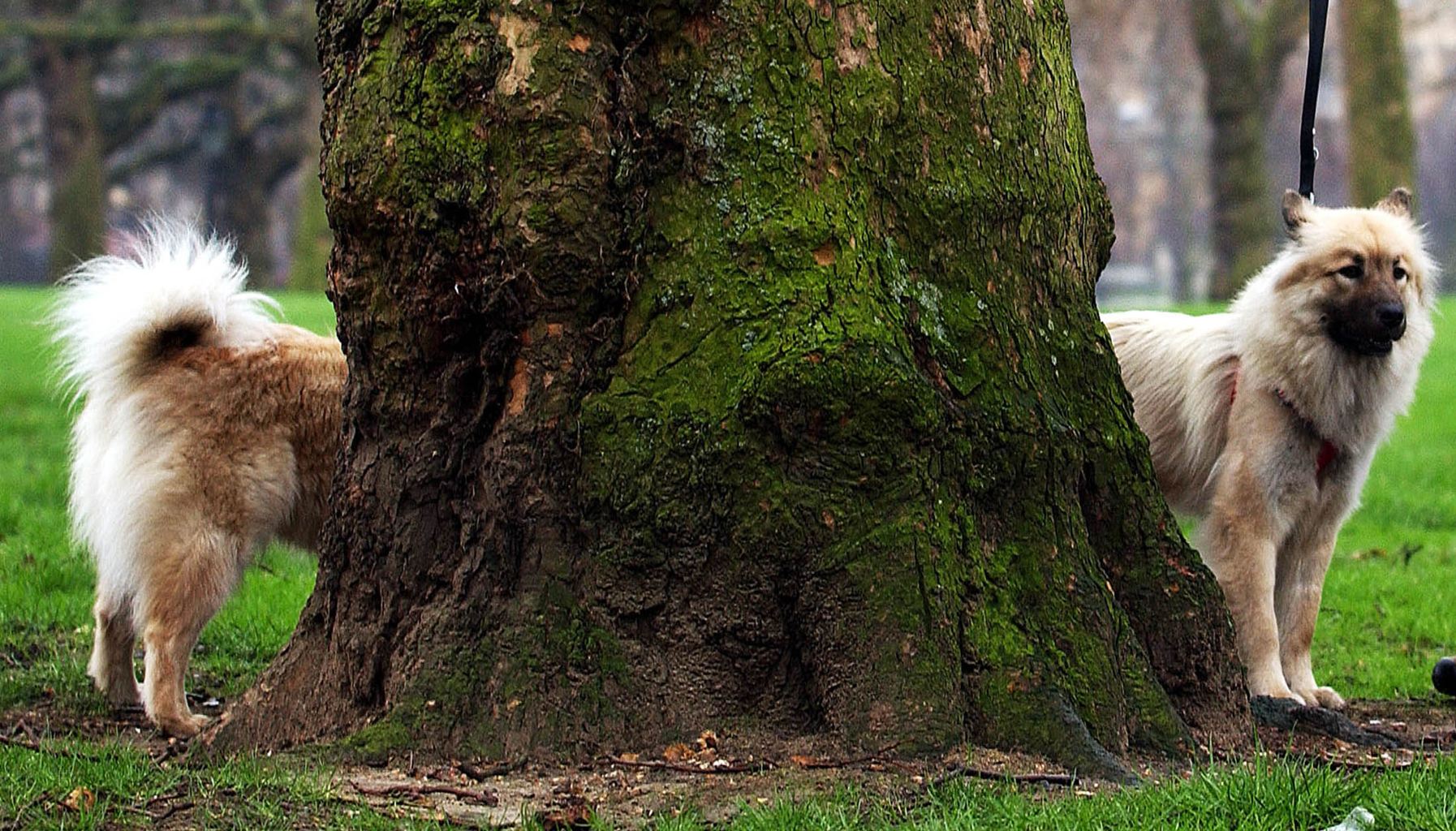 Потрясающие фотографии без участия фотошопа Фотографии без фотошопа, необработанные фотогарфии