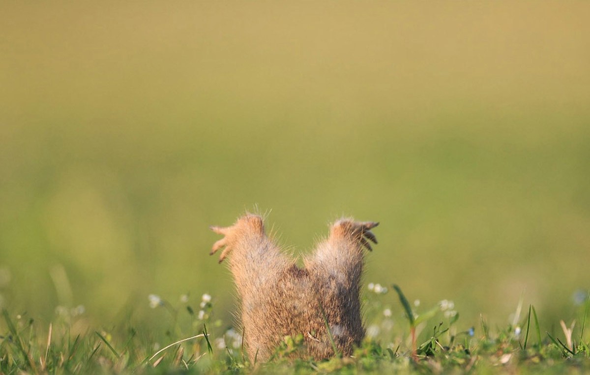 Потрясающие фотографии без участия фотошопа Фотографии без фотошопа, необработанные фотогарфии