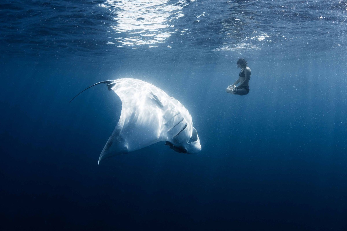 Потрясающие фотографии без участия фотошопа Фотографии без фотошопа, необработанные фотогарфии