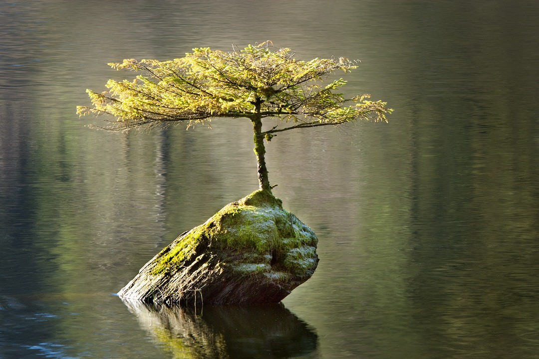 Потрясающие фотографии без участия фотошопа Фотографии без фотошопа, необработанные фотогарфии