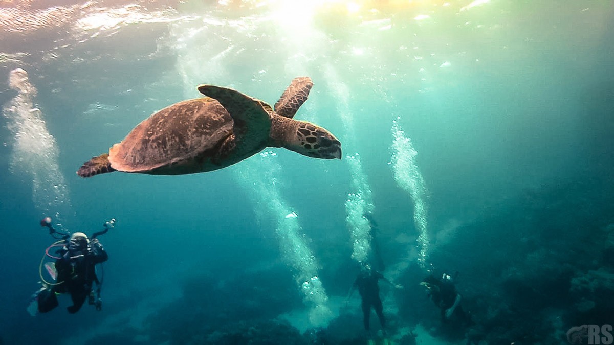 Потрясающие фотографии без участия фотошопа Фотографии без фотошопа, необработанные фотогарфии