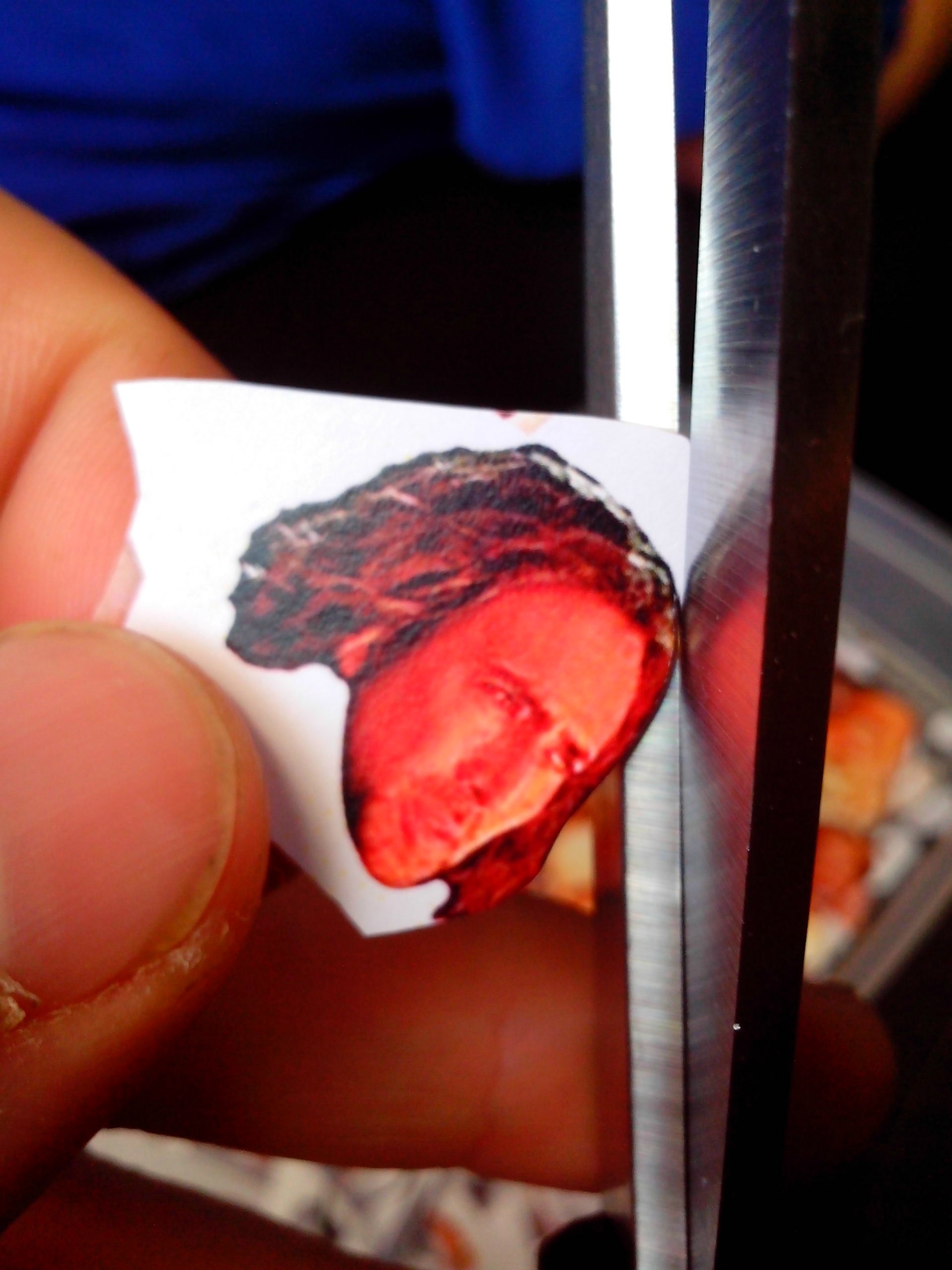 Забавный розыгрыш над братом, который терпеть не может Николаса Кейджа Розыгрыш Николас Кейдж, расклеили головы Николаса Кейджа по дому, наклеили головы Николаса Кейджа