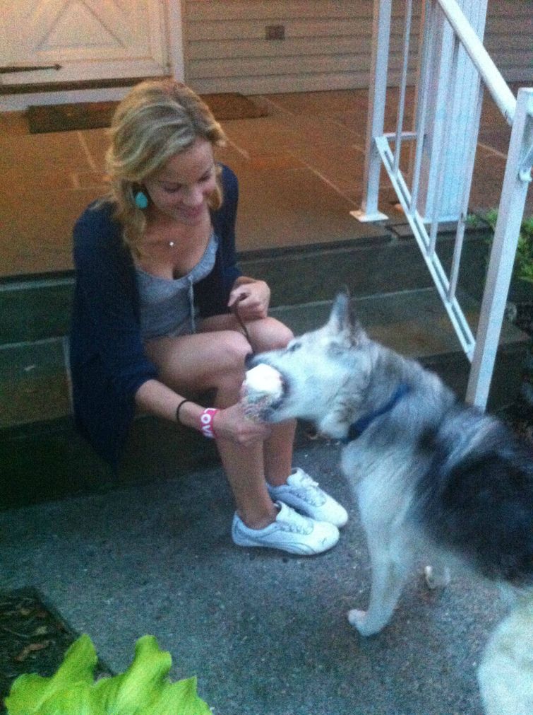 Мороженое для собаки перед усыпили, Meeka, Мика, собака перед тем как усыпили, мороженое Мика усыпили