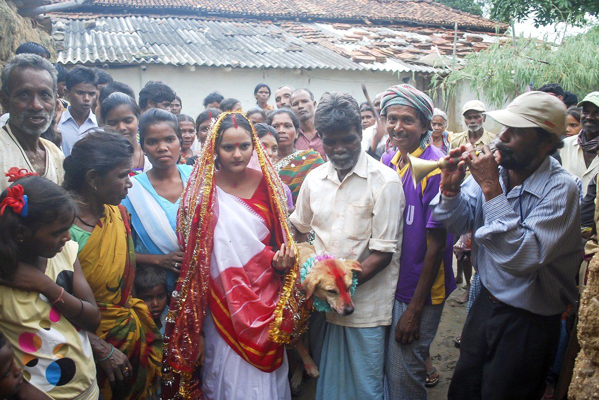 Мангли Мунда, Mangli Munda, девушка вышла замуж за собаку, индийская девушка вышла замуж за пса, собака женилась на девушке