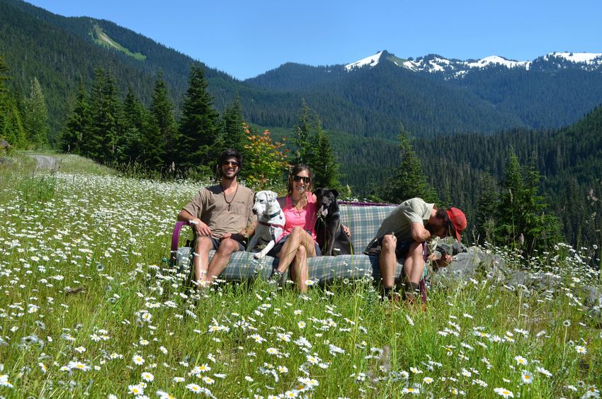 Друзья отправились в путешествие с диваном, путешествие фотографировались на диване 