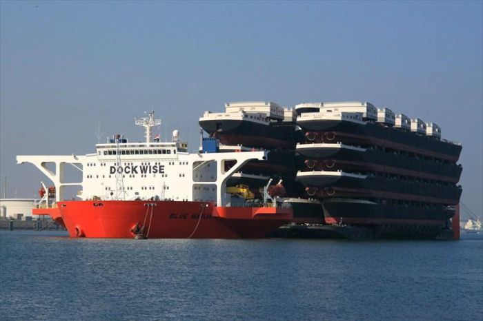 познавательные факты, спорим вы не знали