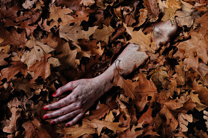 познавательные факты, спорим вы не знали