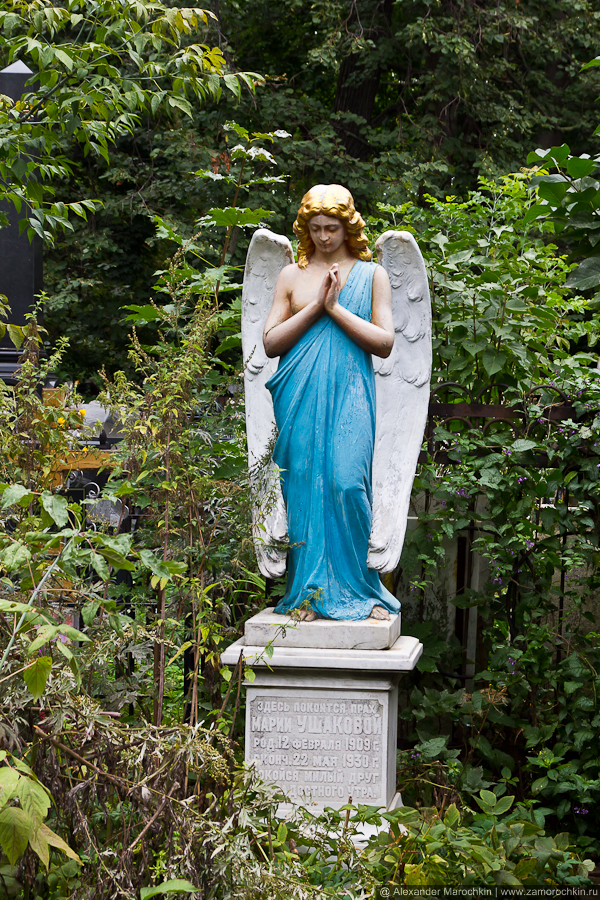 познавательные факты о смерти