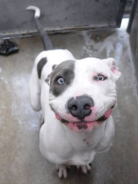 Позитив, юмор, смешные фотографии,прикол