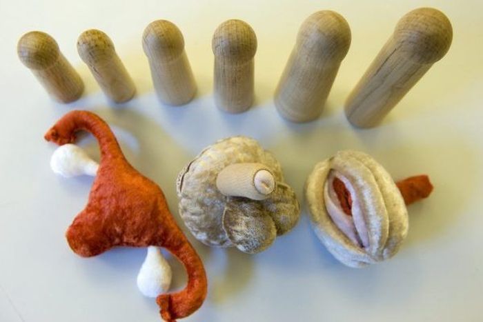 Суровое сексуальное воспитание в детских садах и школах Швейцарии сексуальное воспитание, в детских садах, школах ,Швейцария, sex box, Бенджамин Шпюлер, Benjamin Spühler