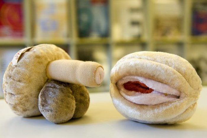 Суровое сексуальное воспитание в детских садах и школах Швейцарии сексуальное воспитание, в детских садах, школах ,Швейцария, sex box, Бенджамин Шпюлер, Benjamin Spühler