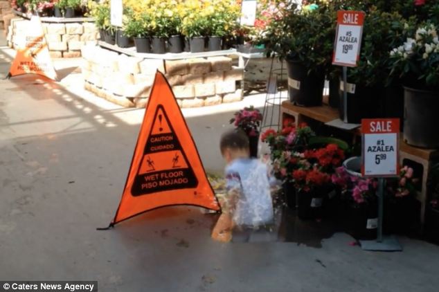 Папа превратил своего сына в супергероя, Daniel Hashimoto