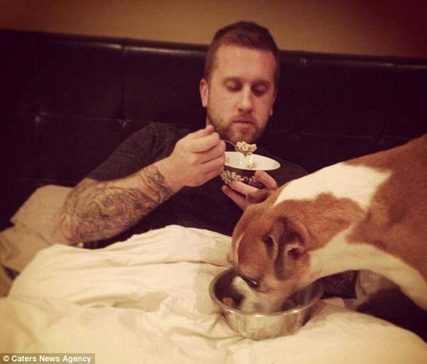 последние счастливые дни собаки, список желаний Ромео, Риина Кук, Riina Cooke, собака больная раком, последние желания умирающей собкаи