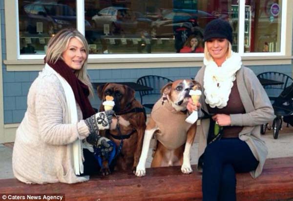 последние счастливые дни собаки, список желаний Ромео, Риина Кук, Riina Cooke, собака больная раком, последние желания умирающей собкаи