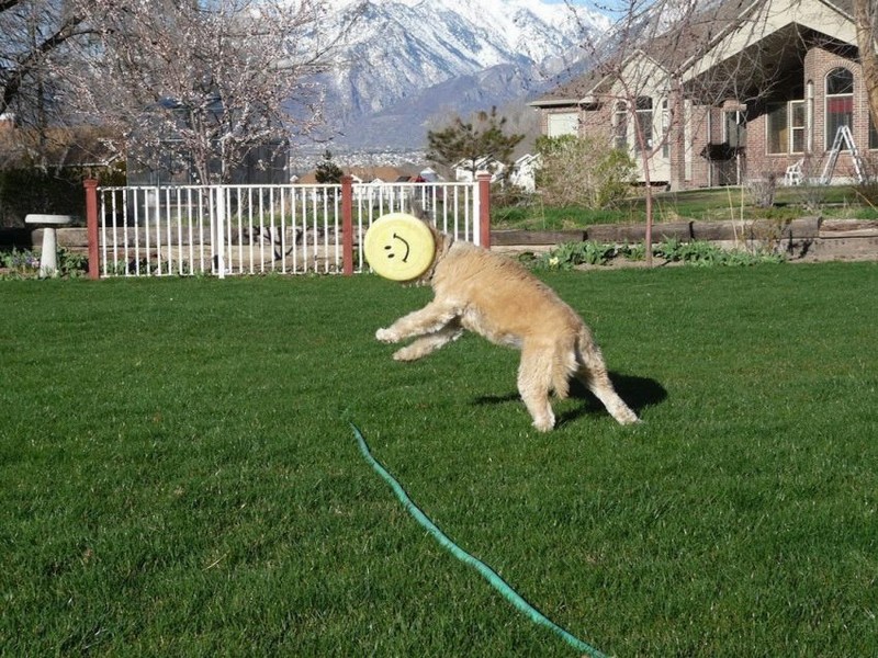 в нужный момент, поймать кадр, лови момент