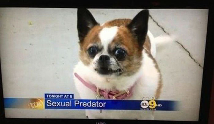 Смешные моменты из телепередач снятые в нужный момент смешные моменты с экранов, телеляпы, нелепые ситуации в программах, смешные моменты в телевизоре