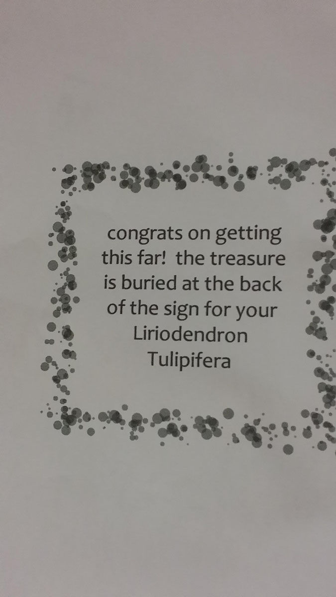 Папа устроил на день рождения сыну грандиозное приключение папа спрятал сюрприз для сына, приключение для сына на его день рождения, приключения для сына подсказки