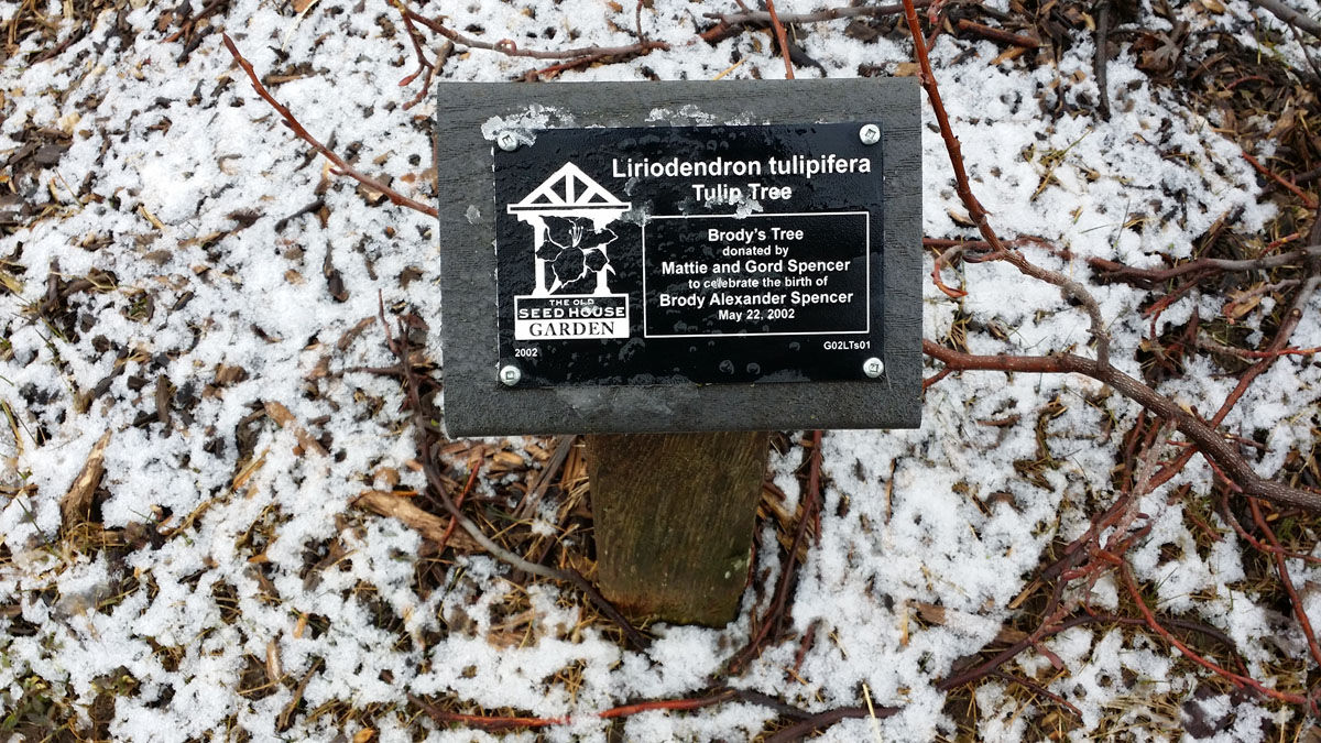 Папа устроил на день рождения сыну грандиозное приключение папа спрятал сюрприз для сына, приключение для сына на его день рождения, приключения для сына подсказки