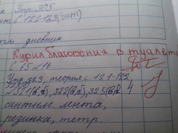 смешные записи в дневниках, учителя дневники смешное, замечания учителей смешные