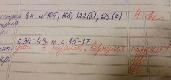смешные записи в дневниках, учителя дневники смешное, замечания учителей смешные