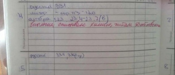 смешные записи в дневниках, учителя дневники смешное, замечания учителей смешные