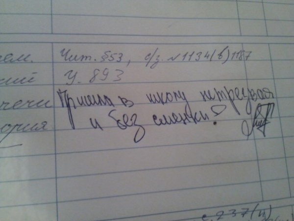 смешные записи в дневниках, учителя дневники смешное, замечания учителей смешные