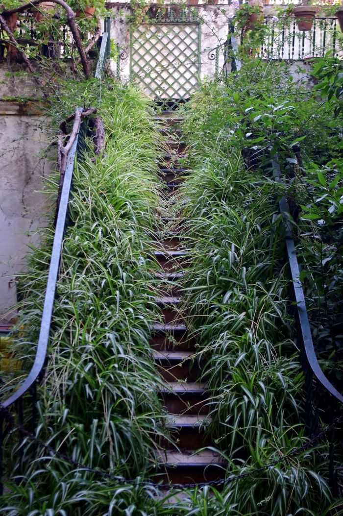 красивые лестницы, необычные лестницы 